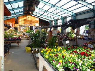 花の翔風 古賀市 福岡県ナビドットコム